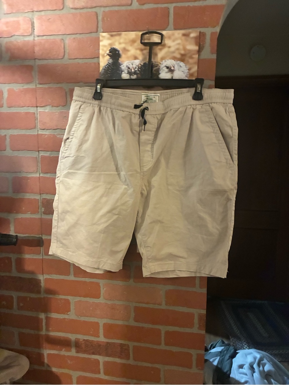 Alexander Julian Light Beige Drawstring Casual Shorts